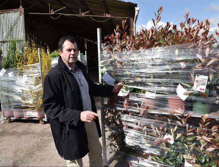 Crisenoy, vendredi 8 avril. Emmanuel Croux présente une étiquette apposée sur une plante prête à être expédiée vers une jardinerie.