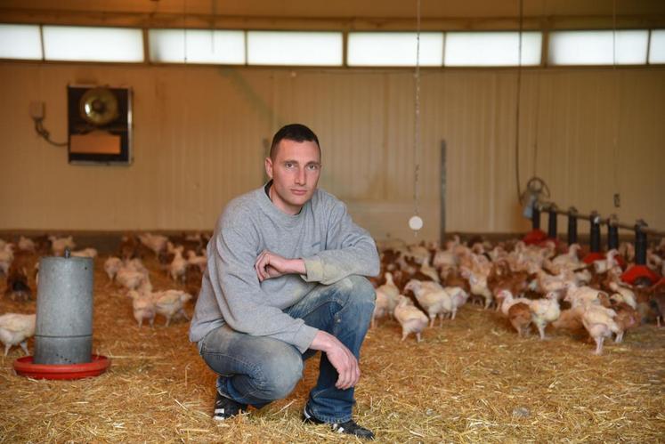 Villemareuil, jeudi 14 avril. Sur l’exploitation de Mathieu Birckel, les poussins arrivent à un jour, sont élévés, abattus, voire découpés et cuisinés sur le site.