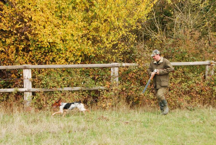 Le chasseur d pense plus de 2 400 euros par an horizons