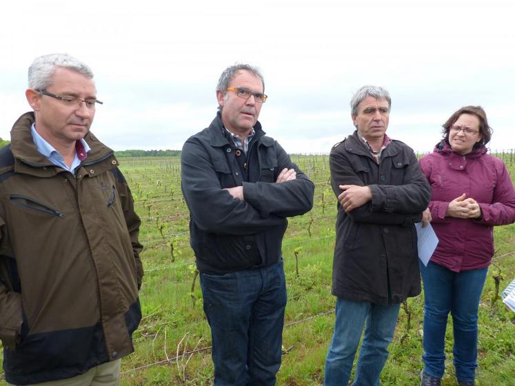 Le 18 mai, à Bourré. La profession viticole avec la chambre d’Agriculture a organisé une visite de terrain avec le préfet du département.