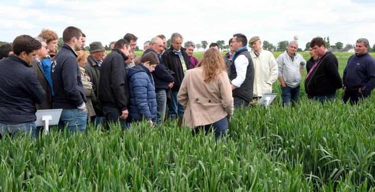 Le 24 mai, à Châteaudun. Près de deux cents personnes ont participé à la visite des essais agronomiques de la société Timac agro.