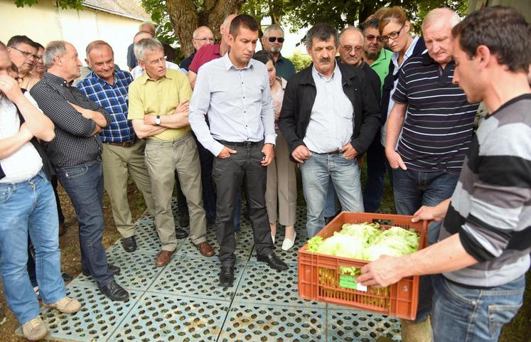 Le 27 mai, à la Ferté-Villeneuil. Les membres du comice agricole ont effectué la tournée des entreprises et des exploitations qui seront distinguées lors du comice des 4 et 5 juin à Cloyes-sur-le-Loir, en passant par celle de Franck Girard (à d.) qui produit des salades.