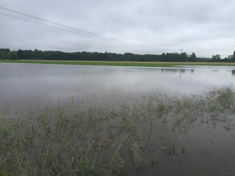 Le 1er juin, à Vineuil. Des parcelles ont été inondées à certains endroits.