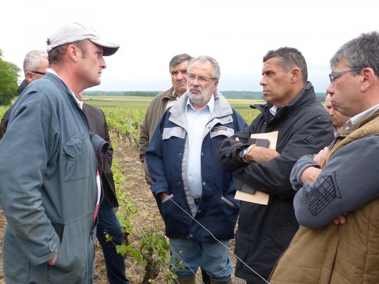 Le 3 juin, à Choussy. Xavier Beulin a rencontré le viticulteur Thierry Gosseaume, touché par le gel.
