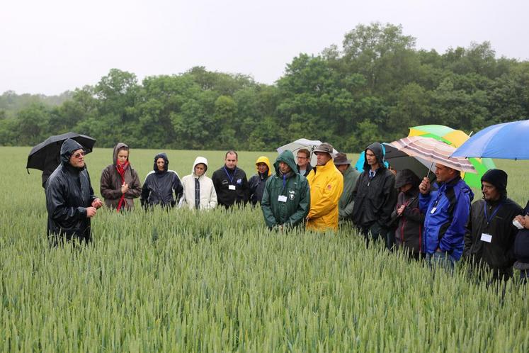 Le 30 mai, à Montlouis (Indre-et-Loire). L’Apad a organisé des journées techniques sur l’agriculture de conservation des sols en Indre-et-Loire et Loir-et-Cher.