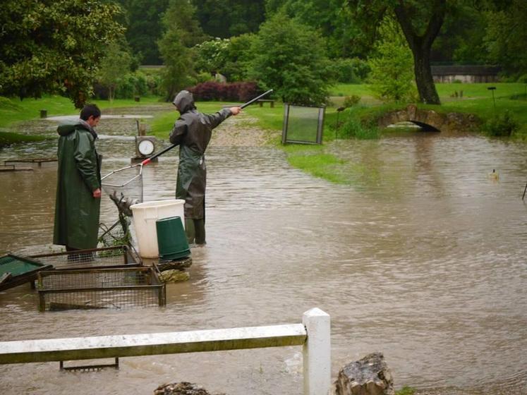 La pisciculture de Villette (Yvelines) s’est, elle aussi, retrouvée totalement sous l’eau. 