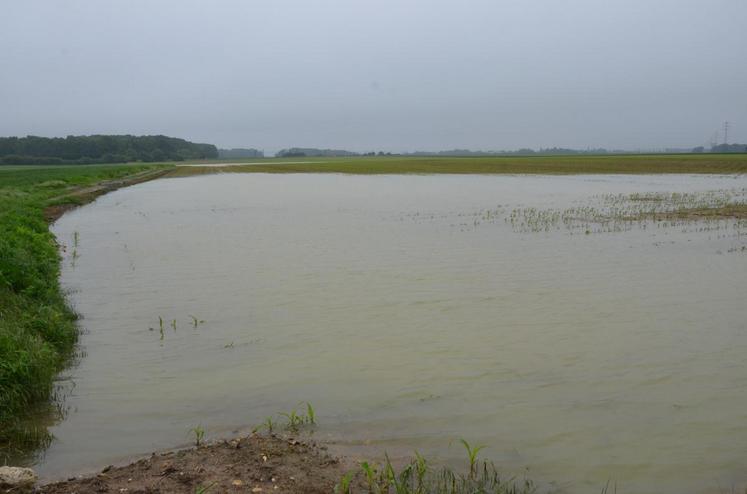 Des parcelles entières de grandes cultures ont été submergées. 