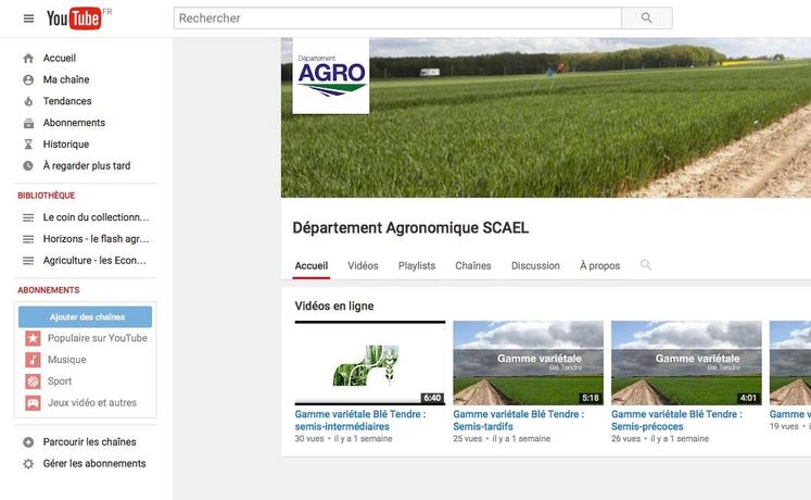 Le 20 juin, sur la Toile. Le département agronomique du groupe coopératif Scael a lancé sa chaîne Youtube.