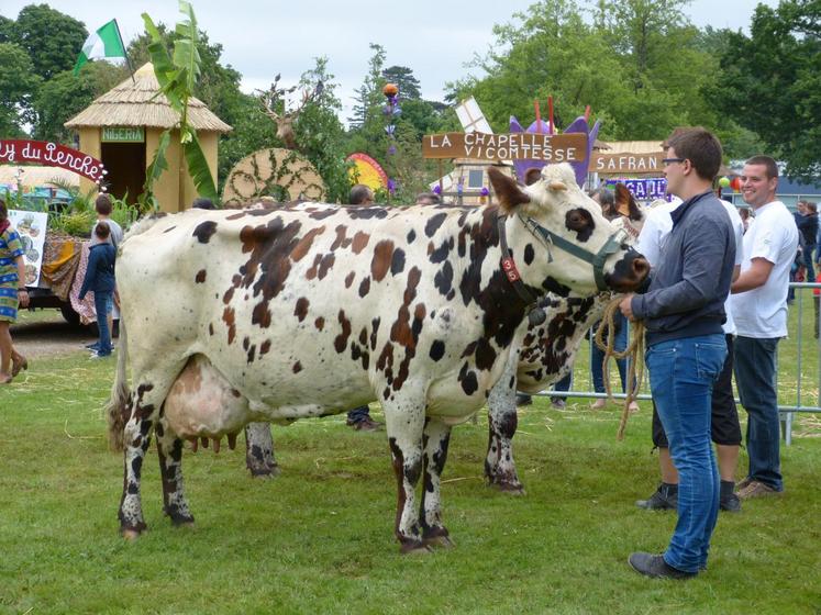 Près de deux cents vaches étaient présentées.