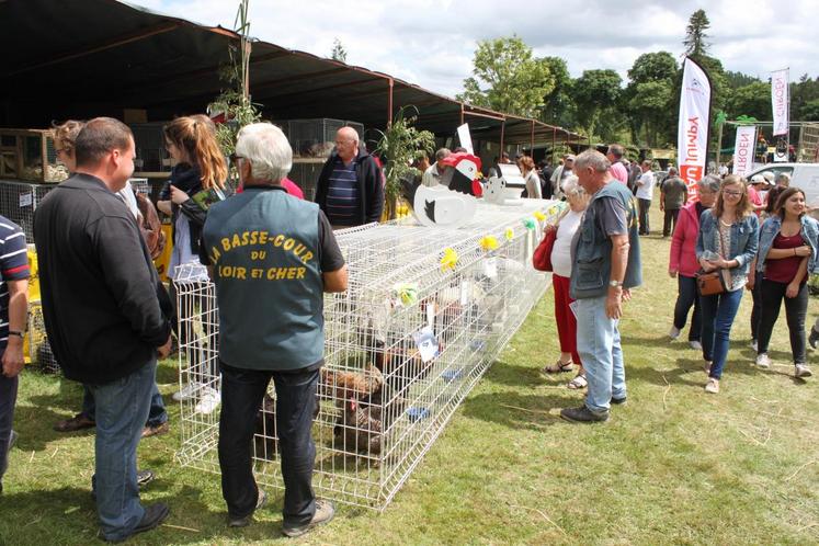 Les animaux de la basse-cour étaient de la partie avec notamment le Conservatoire des races rustiques de Sologne.