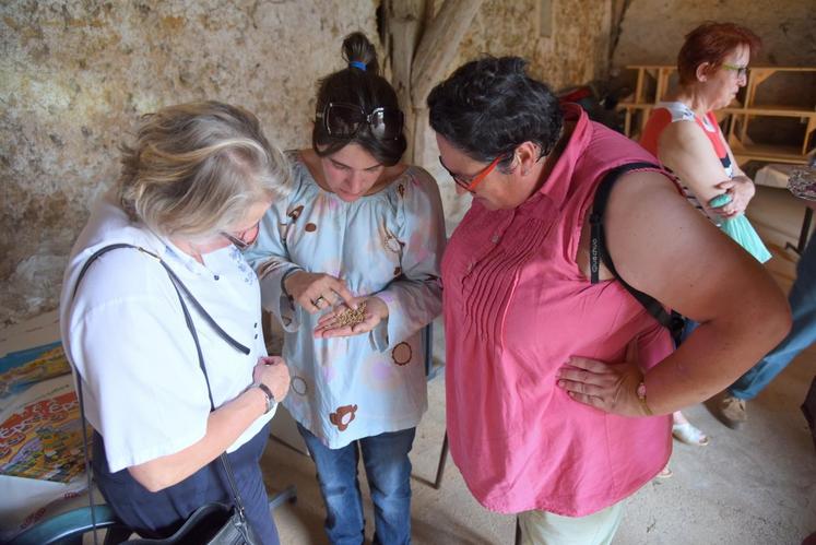 Le 26 août, à Saint-Ange-et-Torçay. Marie-Laure Cuisset (au c.) montre un échantillon de sa récolte à ses invités de la Fête de la moisson, organisée par elle dans le cadre d’une opération de la plate-forme #agridemain.