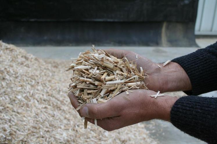 Echantillon de copeaux de miscanthus