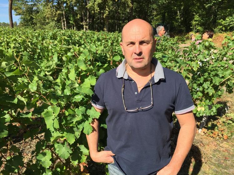 Le 26 septembre, à Thésée-la-Romaine. Alain Trotignon cultive 55 hectares de vignes, quasiment uniquement en sauvignon. 