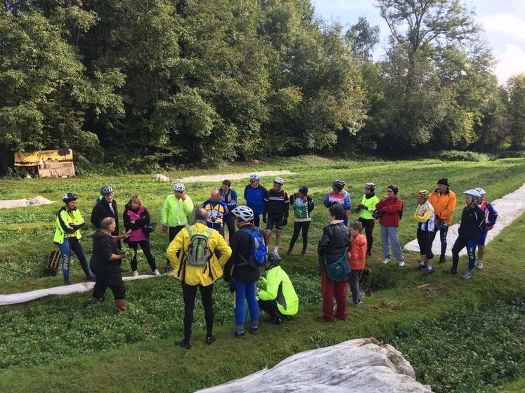 A Moigny-sur-Ecole (Essonne), le 15 octobre. La cressonnière du moulin du ruisseau a présenté la production emblématique du département, le cresson. 