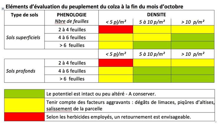 Evaluer un colza à la fin de l’automne.