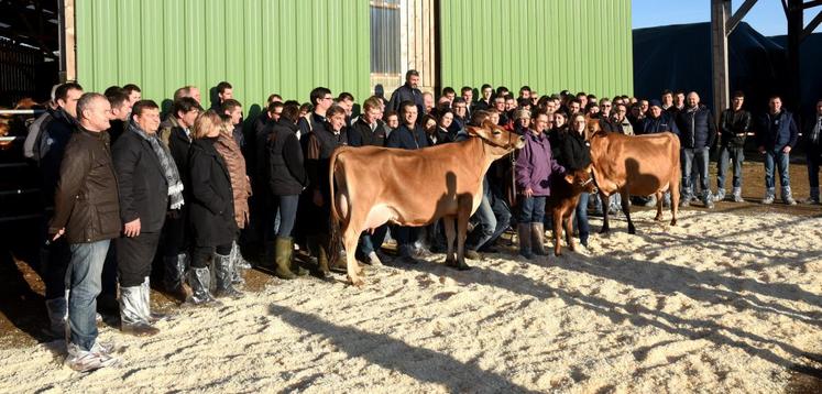 Le 8 décembre, à Arrou. Une centaine d’éleveurs a participé à la Journée jersiaise organisée par Axéréal élevage au sein de l’EARL Hyson-Voillot.