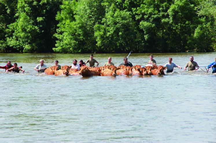 Le 7 juin à Seigy, les pompiers et les agriculteurs sauvent des vaches dans leur pré inondé. Dans toute la région, les pluies de début juin ont fortement affecté les cultures. Les dégâts ont été fortement ressentis à la moisson.