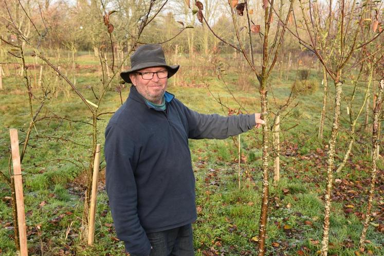 Saint-Siméon, jeudi 9 décembre. Pascal Papelard s’épanouit au milieu de sa pépinière d’arbres fruitiers dont cinquante variétés de pommes.