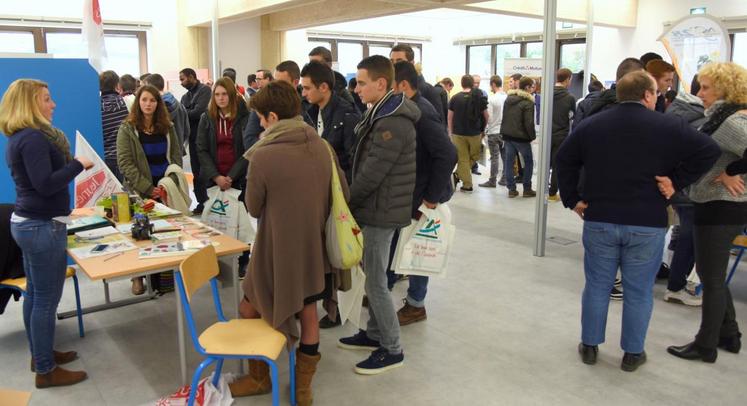 Le 10 janvier, à Châteaudun. Plus de cent soixante personnes ont participé au Forum de l’installation organisé par Jeunes agriculteurs et les OPA euréliennes.