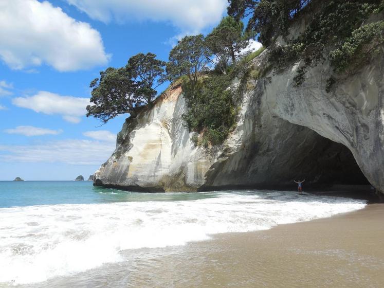 Nouvelle-Zélande, île du Nord, Whangarei(DR : Doriane MANTEZ)