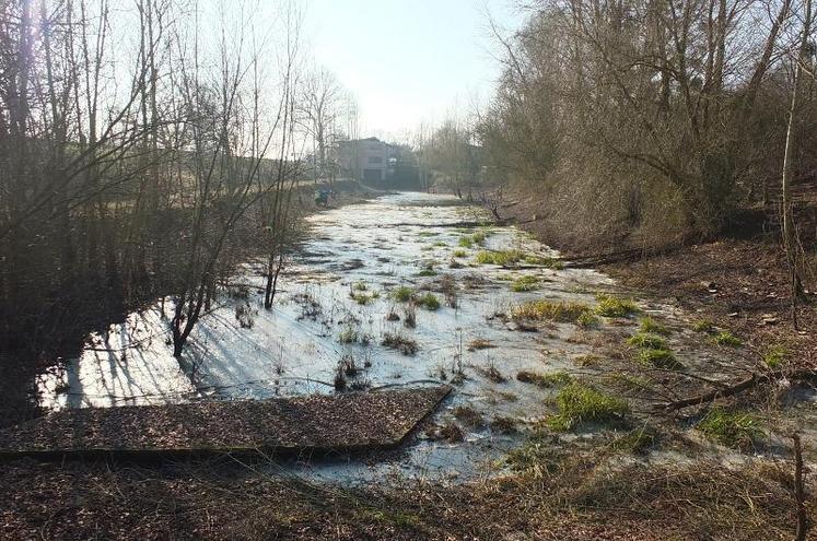 Le Parc des Mées offre une valeur biologique, écologique et paysagère remarquable dans le Val Blésois, ainsi qu’un intérêt scientifique et pédagogique du fait de sa faune et de sa flore.