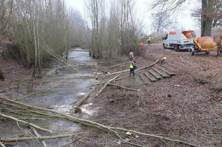 Une restauration écologique du bassin a été réalisée par 25 élèves du lycée de Vendôme en bac pro, spécialisés dans la gestion des milieux naturels et de la faune, du 23 au 27 janvier.