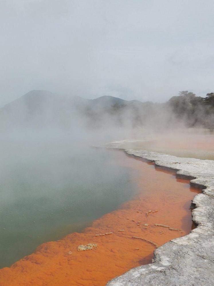 Nouvelle-Zélande, île du Sud, Mont Cook (DR : Doriane MANTEZ)