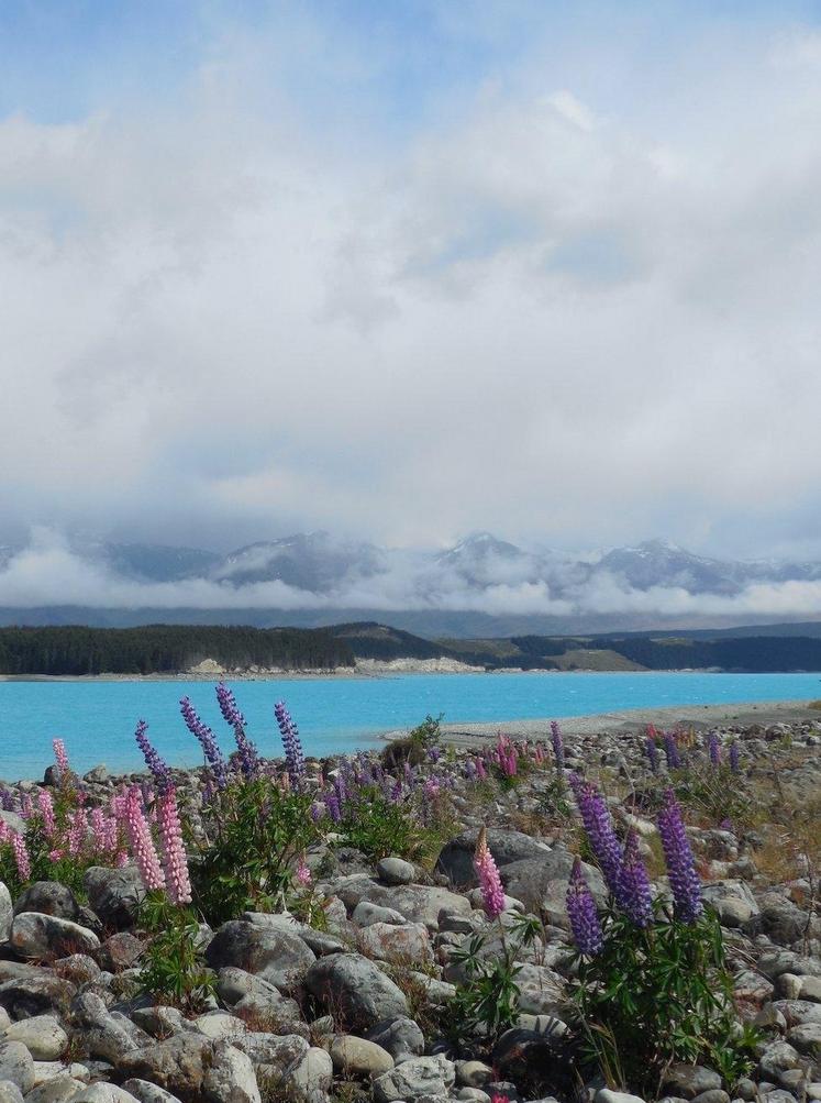 Nouvelle-Zélande, île du Sud, Mont Cook(DR : Doriane MANTEZ)