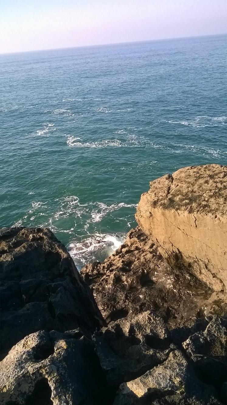 Hélène Sauvage - 2017