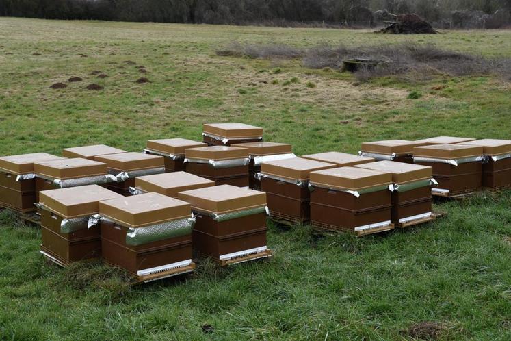 Allemant (Aisne), jeudi 2 février. 