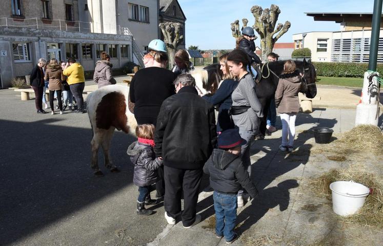 Le 11 mars, à Mignières. Les portes-ouvertes du LEAP Efagrir - Franz-Stock sont l’occasion pour les familles de découvrir l’option cheval proposée par l’établissement.