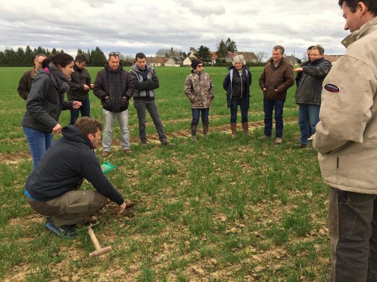 Le 20 mars, Baptiste Maitre, conseiller agronome, a fait la démonstration pour disposer l’indicateur « litter bag » dans le but d’appréhender la fertilité biologique du sol.