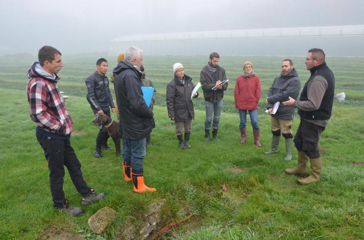 Une formation à la cressiculture vient de débuter en Essonne et Seine-et-Marne. Il reste des places pour y participer.