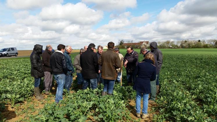 A Mespuits (Essonne), le 22 mars. Les agriculteurs adhérents au dispositif Dephy sud 91 se sont retrouvés pour un rendez-vous technique.