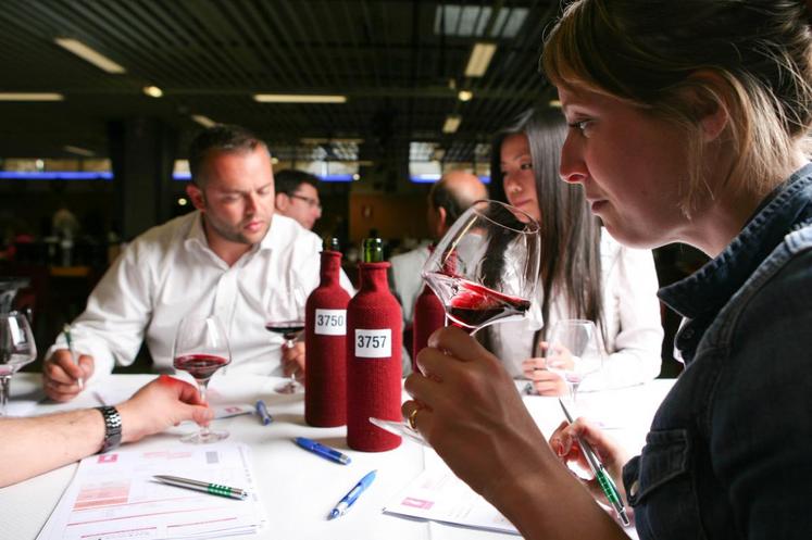 les 17 et 18 mars derniers, 22 vignerons ont présenté 63 échantillons au concours des vins des vignerons indépendants à Paris. Au total, 12 médailles loir-et-chériennes: deux d’or, sept d’argent et trois de bronze.