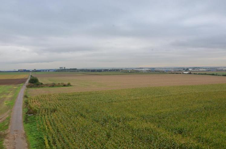 A Gonesse (Val-d’Oise), plusieurs centaines d’hectares de terres agricoles sont menacées par le projet Europacity. (photo d’archives)