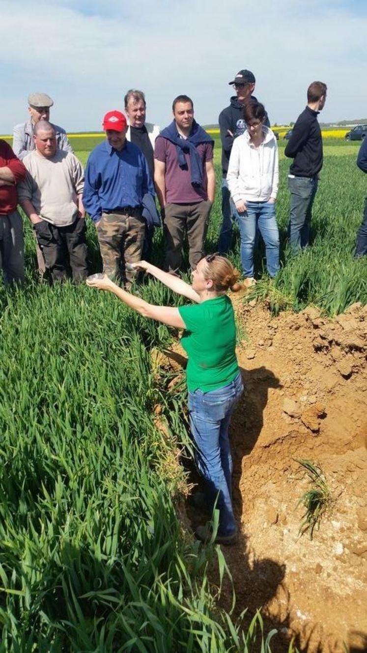 A Guillerval (Essonne), le 24 avril. Les agriculteurs engagés dans le groupe Dephy sud 91 ont participé à un nouveau tour de plaine sur le thème de l’agriculture de conservation.