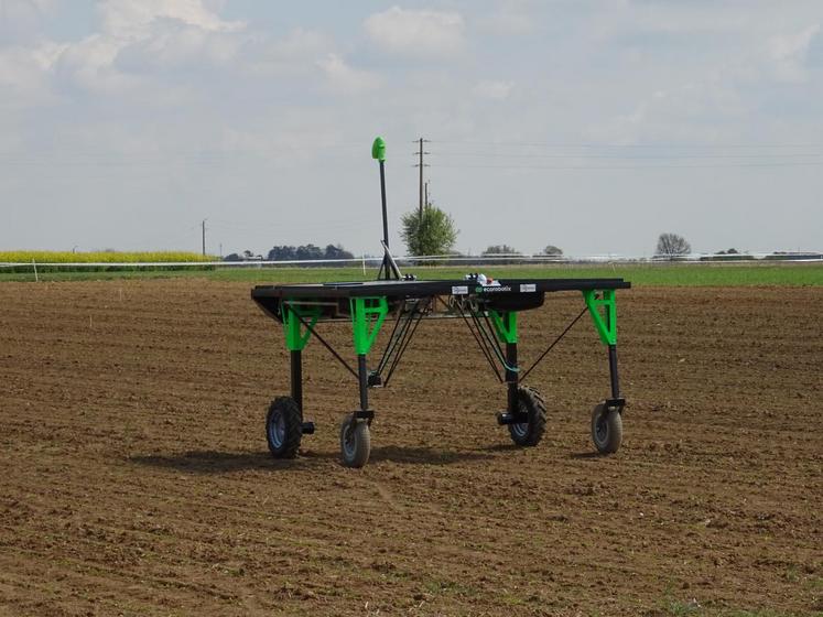 L’agriculture connectée peut faire appel à des robots : ici, l’écorobotix pour le désherbage.