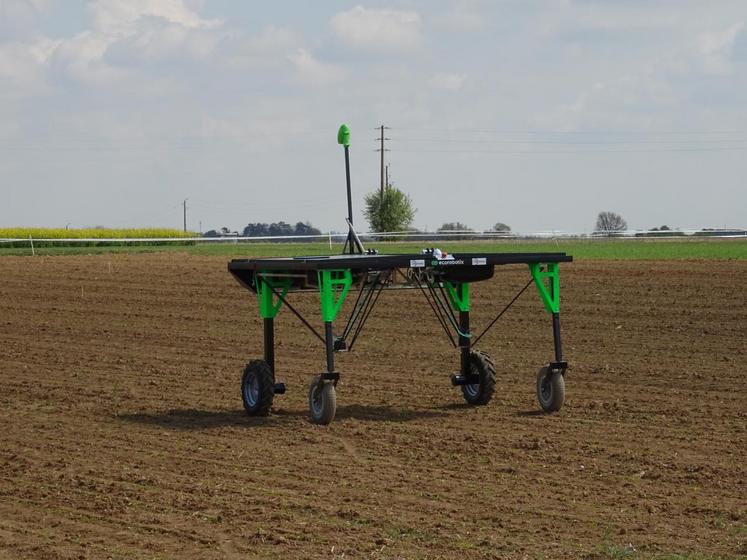 L’agriculture connectée peut faire appel à des robots : ici, l’écorobotix pour le désherbage.