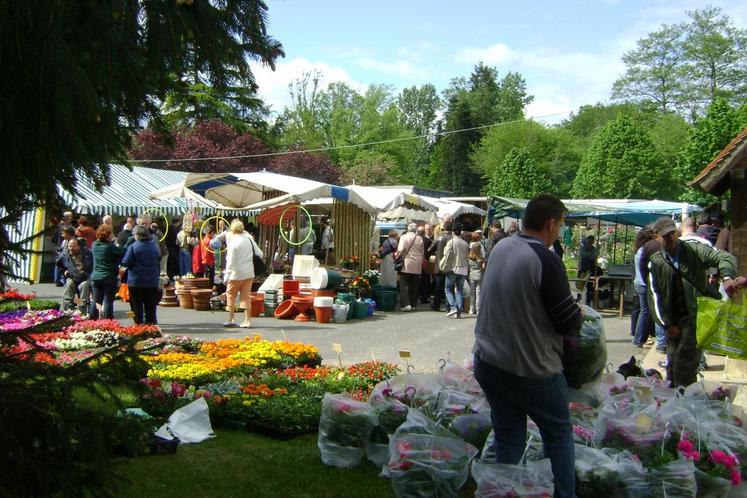 Dimanche 30 avril, la Foire aux oies de Souvigny-en-Sologne, quelque peu perturbée, a tout de même satisfait petits et grands.