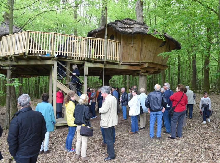 Le 13 mai, à Champrond-en-Gâtine. De nombreux visiteurs ont profité des portes ouvertes du Domaine du Bois-Landry pour visiter les cabanes perchées installées depuis dix ans.