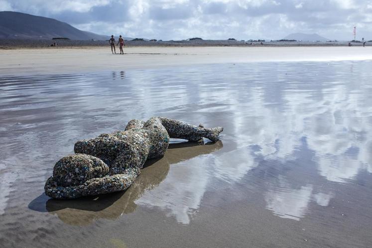 "Microplastics", Museo Atlantico, Lanzarote, îles Canaries, Espagne