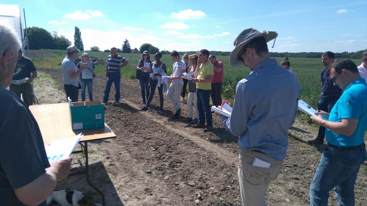 Plus de 34 participants ont participé à la visite des essais d’asperges sur l’exploitation de Denis Billault, fin mai à Ouchamps.