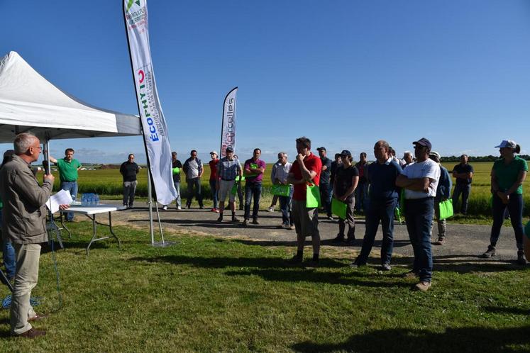 Arville, lundi 12 juin. Christophe De Rycke accueille les participants à la visite de la plate-forme qui met en avant des essais sur le blé, l’orge et une vitrine de l’interculture.