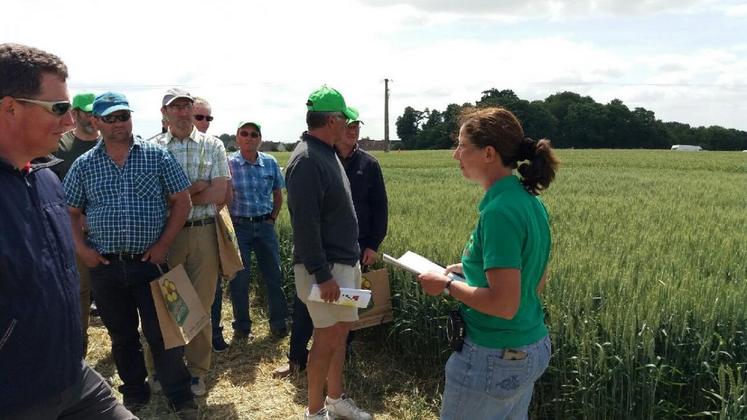 Puiseux-en-France (Val-d’Oise), vendredi 16 juin. Sabine Snyder, conseillère agricole à la chambre d’Agriculture, acceuille les agriculteurs sur la plate-forme.