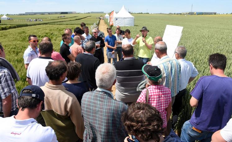 Le 8 juin, à Bonville. Sept ateliers ont été proposés l’après-midi aux adhérents du groupe coopératif Scael lors de son sixième AgriCampus, pour faire le plein d’innovations.