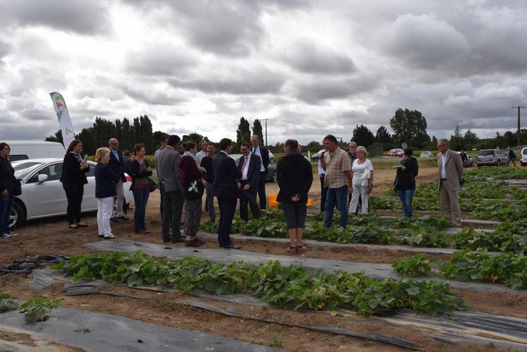 Le 20 juillet à Veuves. Dirigeants et experts agronomes ont présenté l’ambitieux projet du groupe Reitzel de reconstuire une filière cornichons dans la région et les partenariats conclus avec les agriculteurs de Loir-et-Cher.