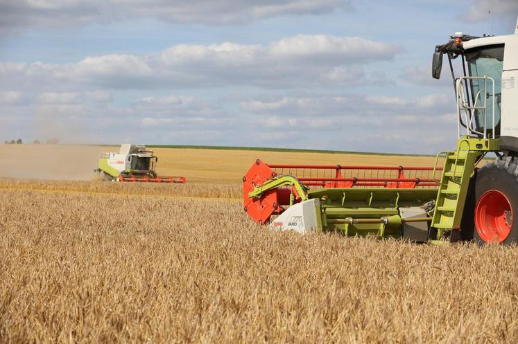 Alors que 90% des céréaliers au nord du département ont déjà fini la récolte, quelques Solognots attendent encore les machines pour attaquer… Soulevant ainsi le sujet du peu d’entrepreneurs disponibles.