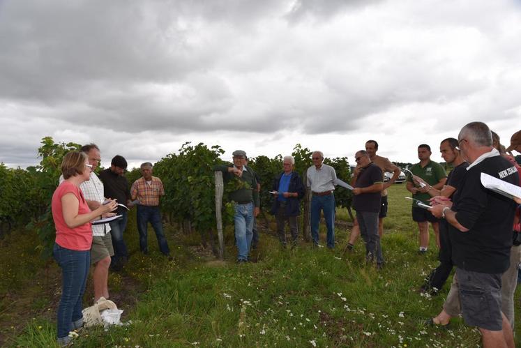 Le syndicat Coteaux du Vendômois s’est réuni lundi 4 septembre à l’Observatoire de Thoré-La-Rochette pour faire un tour des vignes ainsi qu’un focus sur la biodiversité.