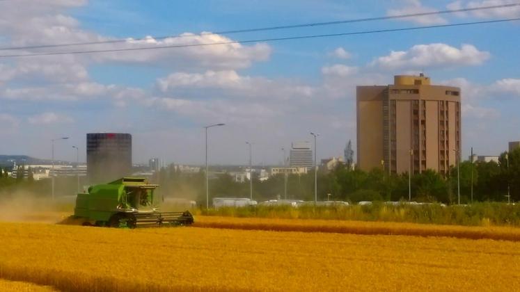 La compensation agricole collective représente un levier de premier choix pour inciter les aménageurs à limiter leur consommation de foncier agricole (image d’archives). 